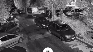 Жители 27 дома по улице Тимирязева бояться выходить на улицу - там стаи собак.