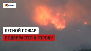 Пожары в Турции: в Эскишехире погибли 11 лесников