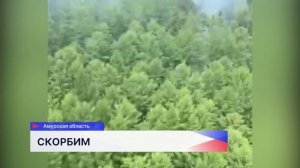 Глеб Никитин выразил соболезнования родным погибших в авиакатастрофе в Амурской области
