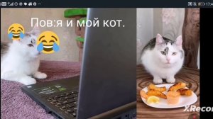 Ржака же?¿
