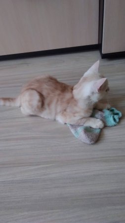 Понюхал называется)))