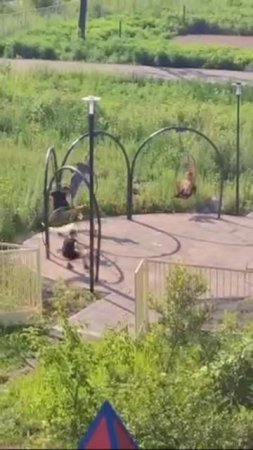 Маленькая шалость - большая трагедия: неприятный случай произошёл в парке Лесозаводска