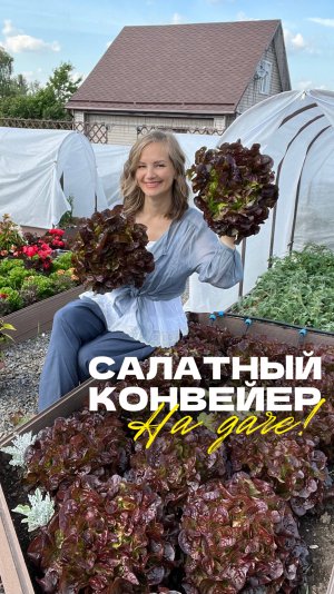 🥬 Урожай со вкусом лета — знакомьтесь, салат Стеликс!