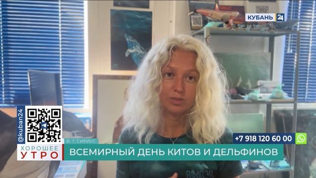 Татьяна Белей: если встретили дельфина в море — наслаждайтесь моментом