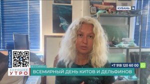 Татьяна Белей: если встретили дельфина в море — наслаждайтесь моментом