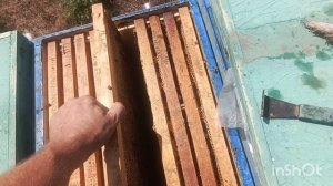 Откачка мёда.