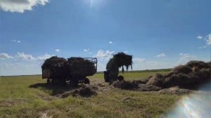 Грузим сено под солнцем. #Казахстан #жизньвказахстане #селовказахстане