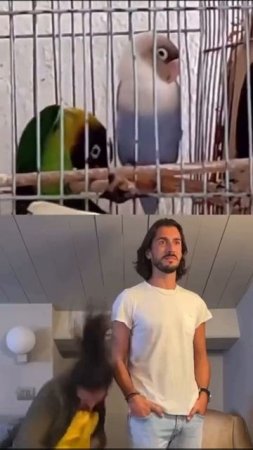 1000257651.mp4