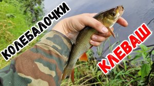 Мормоколебалки "КЛЕВАШ" - ультралайт на красивой речке