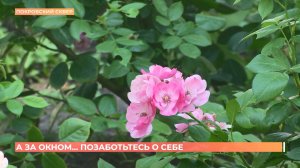 А за окном. 24 июля 2025