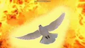СЛОВО ОТ БОГА ТОЛЬКО ДЛЯ ГОРЯЧИХ, ГОРЯЩИХ ЛЮБОВЬЮ К БОГУ, ХОДИВШИХ В ПОСЛУШАНИИ, ПОБЕДИВШИХ ПЛОТЬ!!!