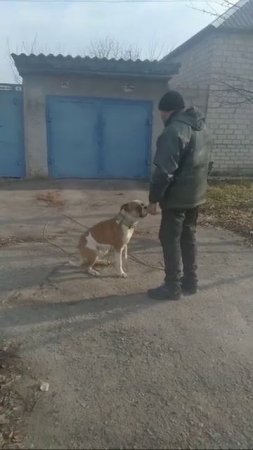 Голд.Команда ,,ДОМОЙ,,