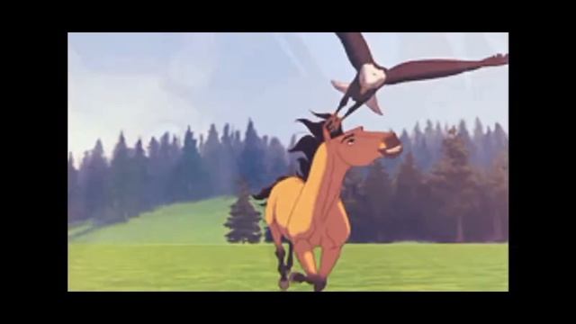 видео для конкурса смотреть онлайн