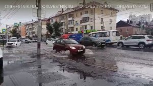 Орел периодически уходит под воду