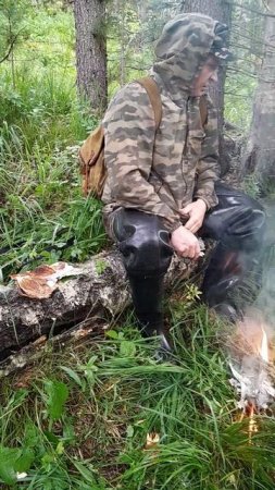 Тяготы таёжного быта.