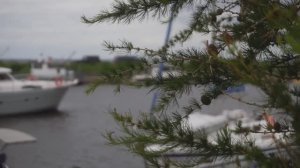 Спорт, победивший шторм