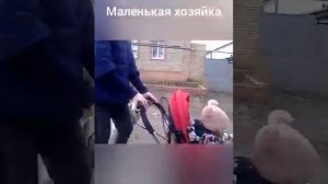 Зевс с маленькой хозяйкой