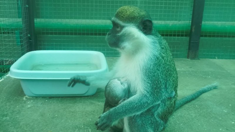 кормили малявку