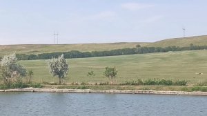 Если хотите посчитать барашек перед сном,то это для вас🐑🐑🐑😉