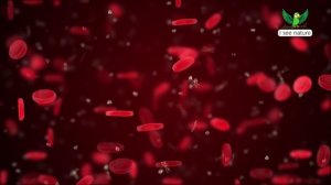 Что такое плазма крови?