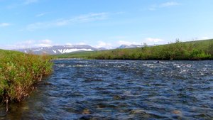 Жидкая вода