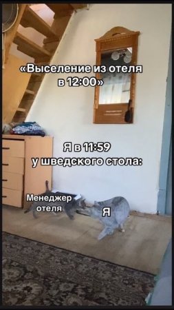 24-07-2025