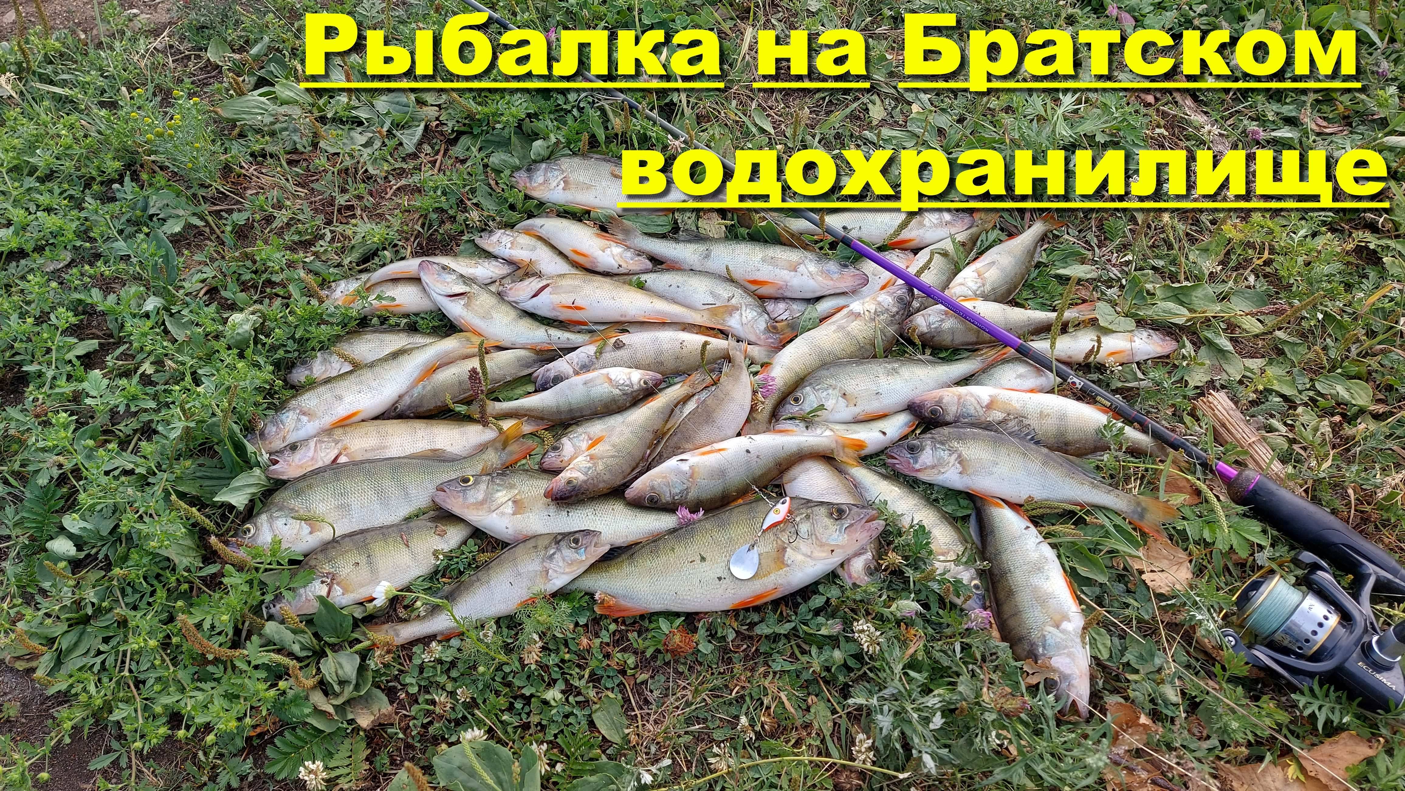 Рыбалка на Братском водохранилище