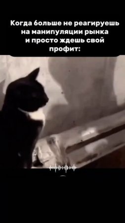 Спокойствие — мой главный актив