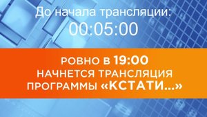 Выпуск новостей программы "Кстати" от 24.07.2025 г.
