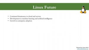 253 - Linux future