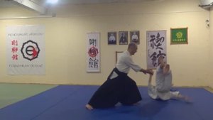 Фрагменты IX летнего интенсивного курса Ренсинкай айкидо в Ярославле. Июль 2025