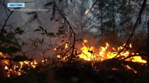 Огнеборцы потушили лесной пожар в 18 километрах от Светлого