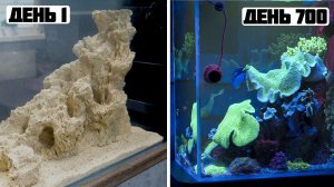 Морской аквариум что произашло за два года