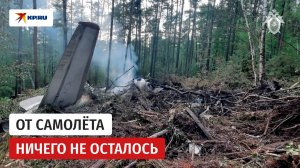 СК опубликовал видео с места крушения АН-24 в Амурской области
