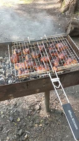 Моё мнение о шашлыке