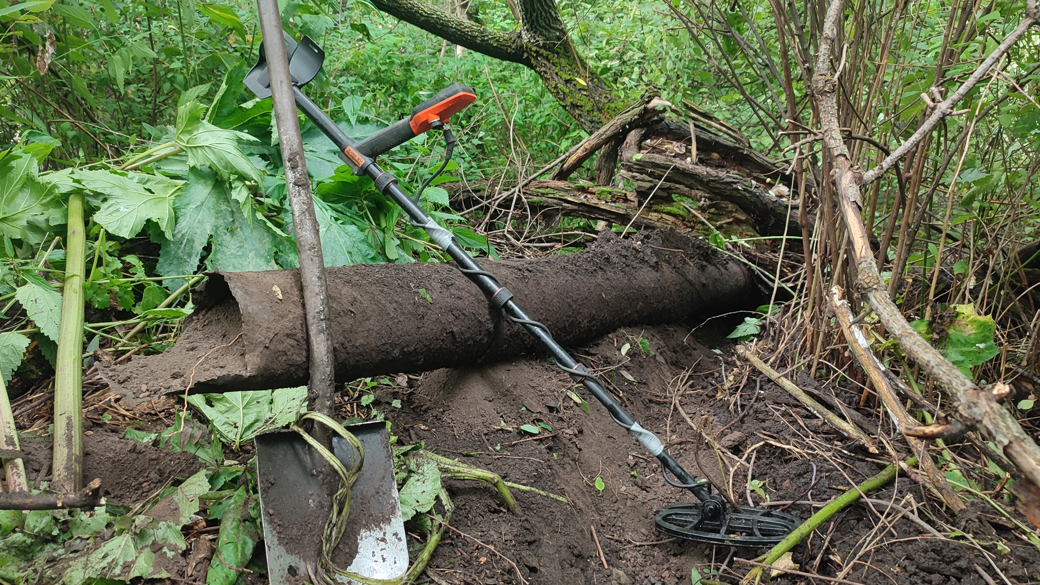 Я и не думал что рядом с домом будут такие находки!!! смотреть онлайн