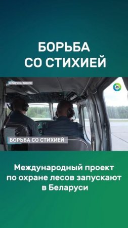 Международный проект по охране лесов запускают в Беларуси #беларусь #лес #стихия #защита #shorts