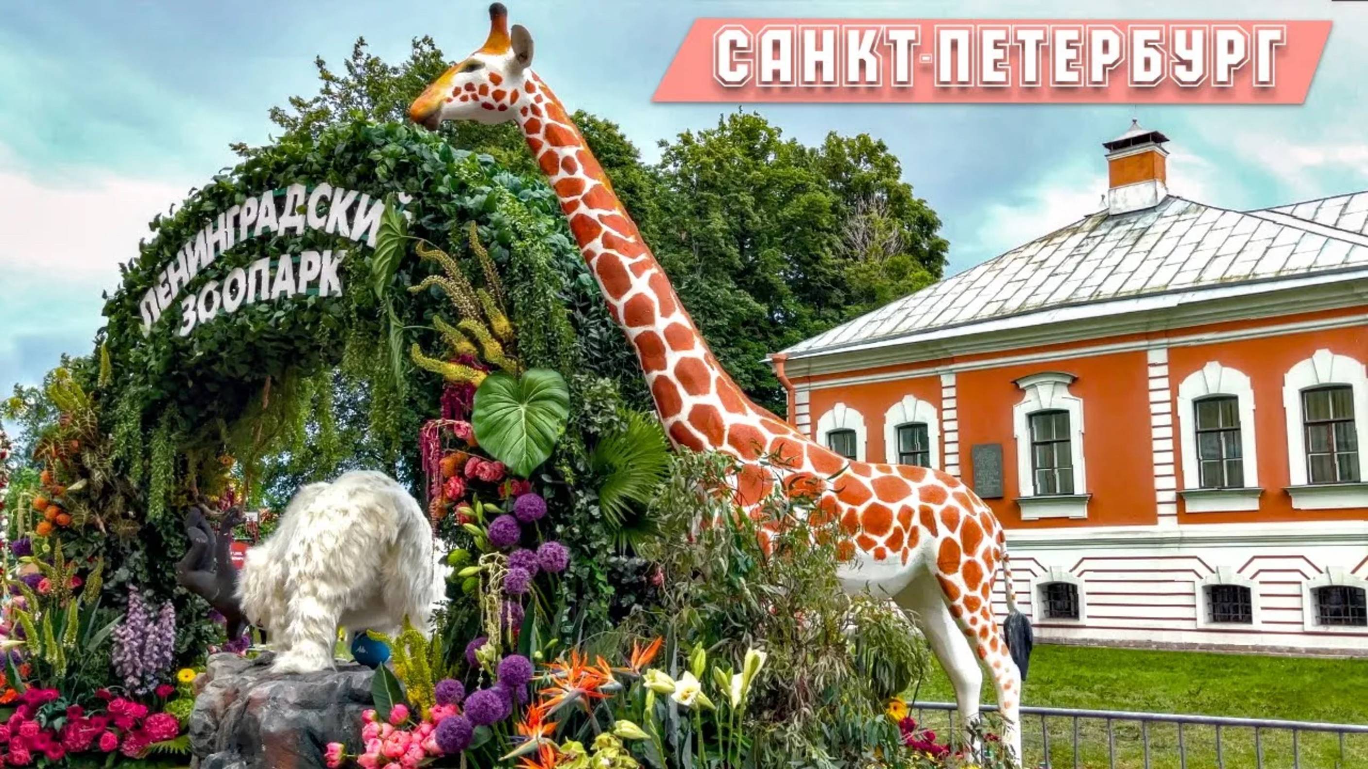 Фестиваль цветов в Петропавловской крепости Санкт-Петербург Июнь 2025 смотреть онлайн