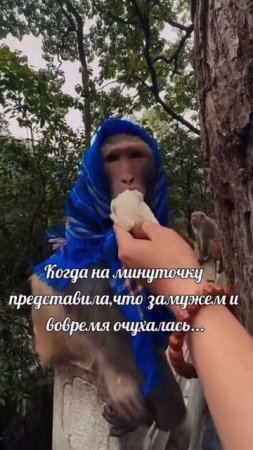 Я не хочу замуж Феминистка
