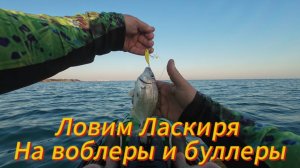 Ловим ласкиря, рыбалка 5 июля 2025 года в Крыму.
