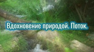 Вдохновение природой. Поток. Премьера трека!
