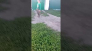 видимо про жизнь