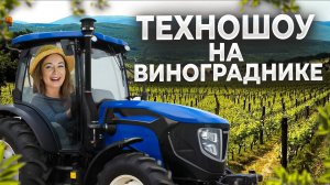 Сколько стоит вырастить виноград / Считаю затраты на технику #минвин #вино #техника