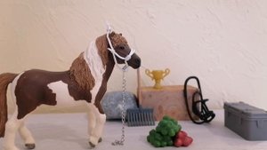 Плагиат?! Очередное скандальное видео?!