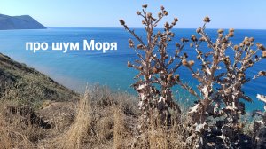 Анапа 24.07.2025 про шум Моря