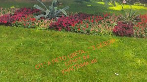 СП "А лето цвета..." 3 Отчет #4 + распаковка пряжи😉🌹🌹🌹Участник 48