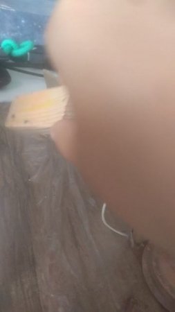 VID_20250724_094902.mp4