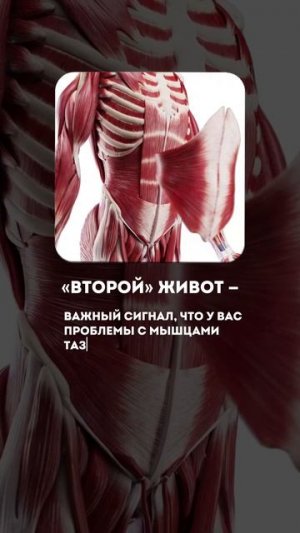 Самый быстрый способ убрать боль от месячных и поднять либидо, смотри полный выпуск на канале