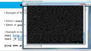 149 - curl and ping commands