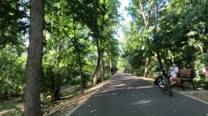 Тропа здоровья